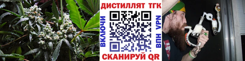 где продают наркотики  Жигулёвск  Дистиллят ТГК THC oil 