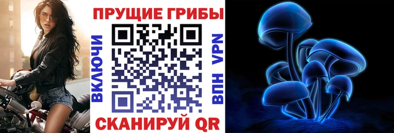 Псилоцибиновые грибы Psilocybine cubensis  гидра маркетплейс  Жигулёвск 